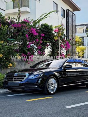 Xe Mercedes Benz S class S450L 2020