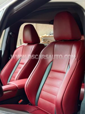 Xe Lexus RX 300 F Sport 2021