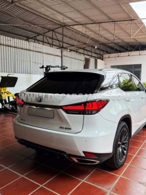 Xe Lexus RX 300 F Sport 2021