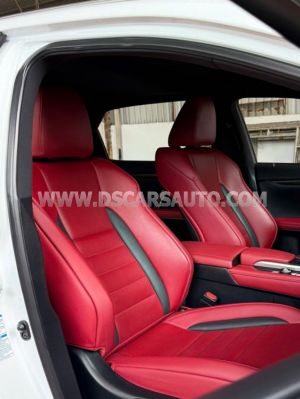 Xe Lexus RX 300 F Sport 2021