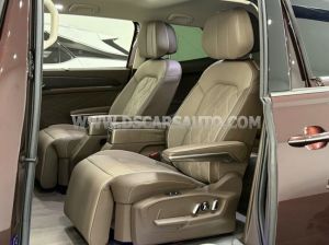 Xe Volkswagen Viloran Luxury 2024