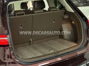 Xe Volkswagen Viloran Luxury 2024