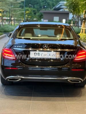 Xe Mercedes Benz E class E250 2016