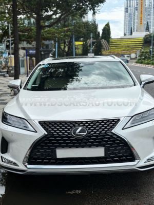 Xe Lexus RX 300 2020