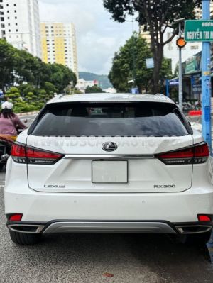 Xe Lexus RX 300 2020