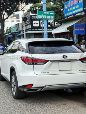 Xe Lexus RX 300 2020