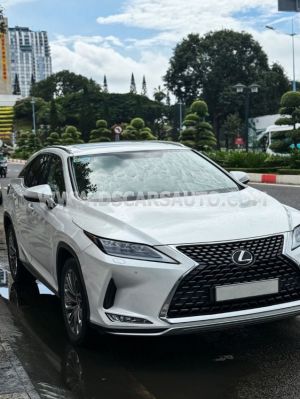 Xe Lexus RX 300 2020