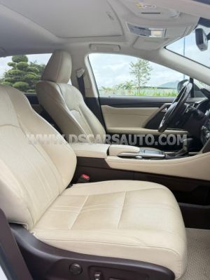 Xe Lexus RX 300 2020