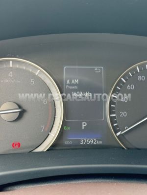 Xe Lexus RX 300 2020