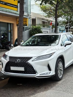 Xe Lexus RX 300 2020