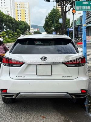 Xe Lexus RX 300 2020