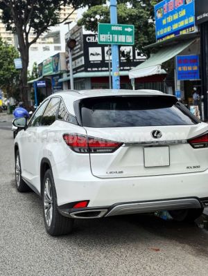Xe Lexus RX 300 2020