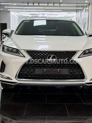 Xe Lexus RX 300 2022