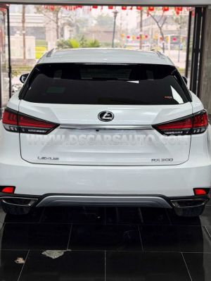 Xe Lexus RX 300 2022