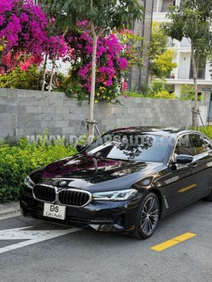 Xe BMW 5 Series 520i Luxury Line 2022