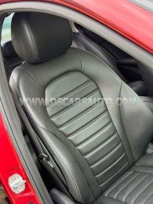 Xe Mercedes Benz C class C250 Exclusive 2016
