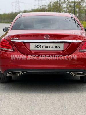 Xe Mercedes Benz C class C250 Exclusive 2016