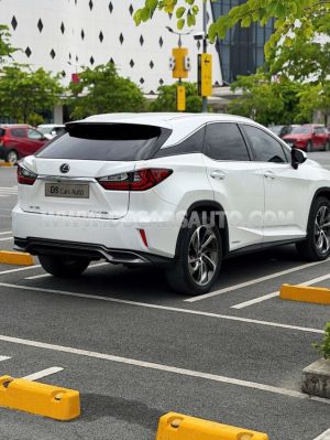 Xe Lexus RX 450h 2019