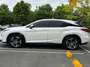 Xe Lexus RX 450h 2019