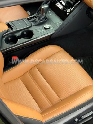 Xe Lexus IS 300 Luxury 2021