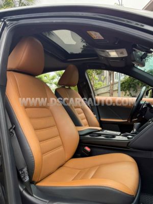 Xe Lexus IS 300 Luxury 2021