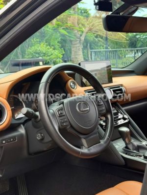 Xe Lexus IS 300 Luxury 2021