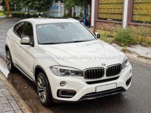 Xe BMW X6 xDrive35i 2015