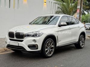 Xe BMW X6 xDrive35i 2015