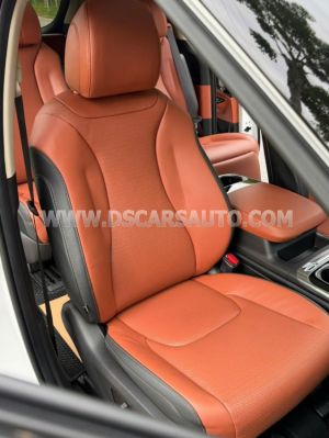 Xe Kia Carnival Signature 2.2D 2024