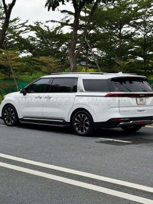 Xe Kia Carnival Signature 2.2D 2024