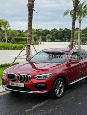 Xe BMW X4 xDrive20i 2018