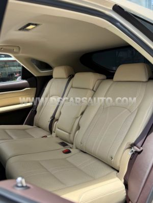 Xe Lexus RX 300 2019