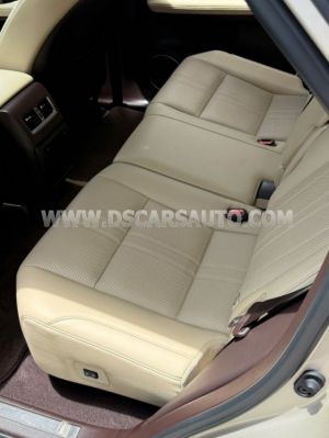 Xe Lexus RX 300 2019