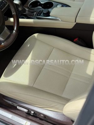 Xe Lexus RX 300 2019