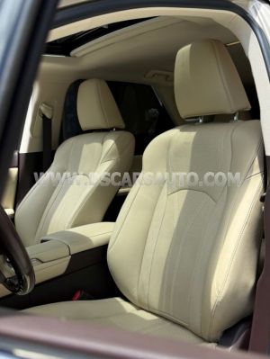 Xe Lexus RX 300 2019