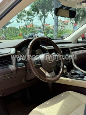 Xe Lexus RX 300 2019