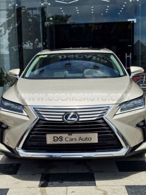 Xe Lexus RX 300 2019