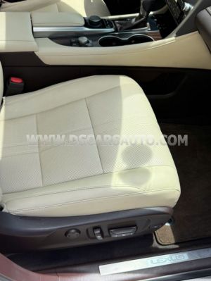 Xe Lexus RX 300 2019